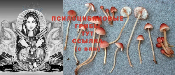 трава Абаза