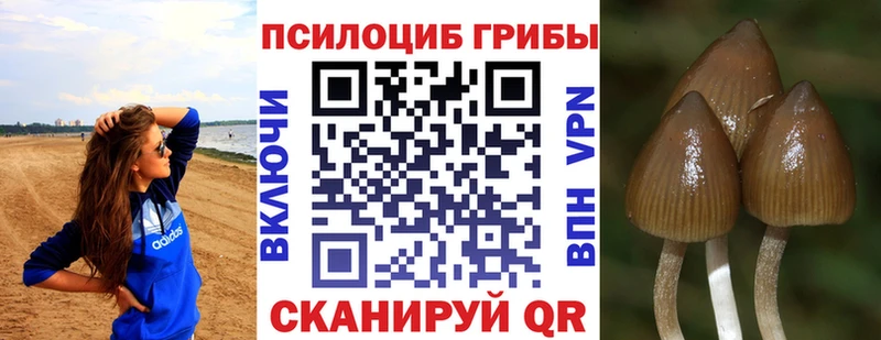 Галлюциногенные грибы ЛСД  Советская Гавань 